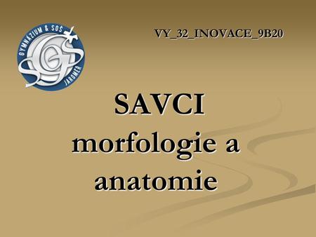VY_32_INOVACE_9B20 SAVCI morfologie a anatomie