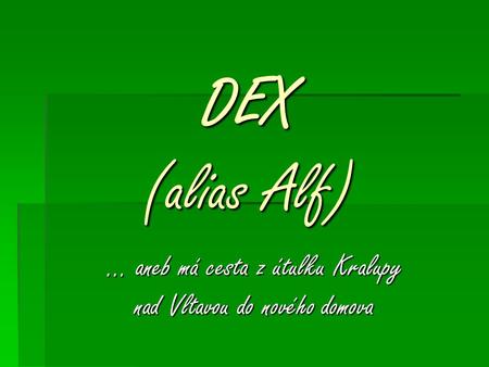 DEX (alias Alf) … aneb má cesta z útulku Kralupy nad Vltavou do nového domova.