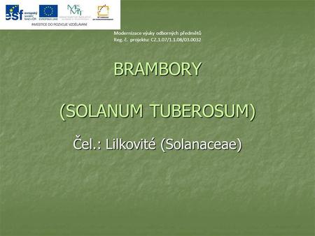 BRAMBORY (SOLANUM TUBEROSUM)