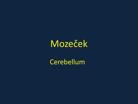 Mozeček Cerebellum.