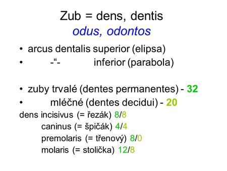 Zub = dens, dentis odus, odontos