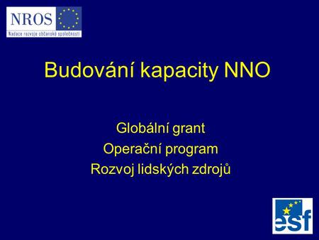 Budování kapacity NNO Globální grant Operační program Rozvoj lidských zdrojů.