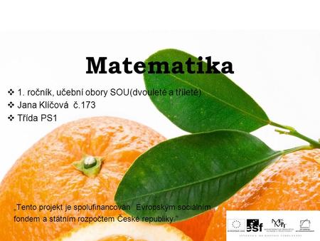 Matematika 1. ročník, učební obory SOU(dvouleté a tříleté)