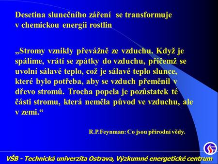 VŠB - Technická univerzita Ostrava, Výzkumné energetické centrum Desetina slunečního záření se transformuje v chemickou energii rostlin „Stromy vznikly.