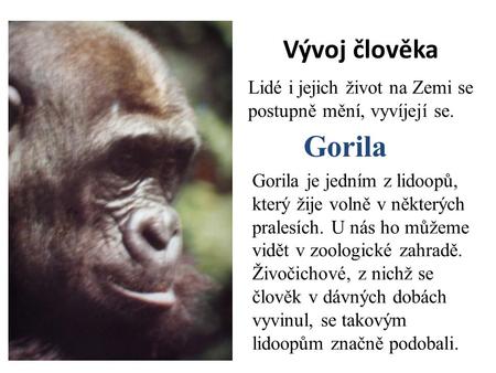 Vývoj člověka Lidé i jejich život na Zemi se postupně mění, vyvíjejí se. Gorila Gorila je jedním z lidoopů, který žije volně v některých pralesích. U nás.