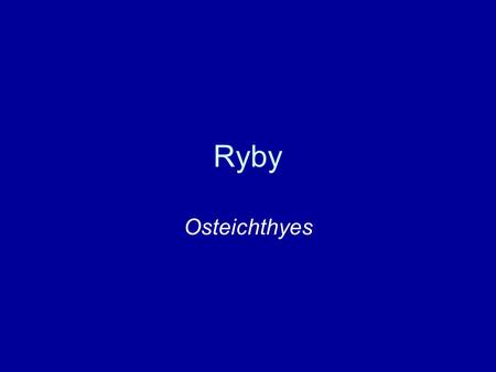 Ryby Osteichthyes.