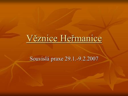 Věznice Heřmanice Souvislá praxe 29.1.-9.2.2007.