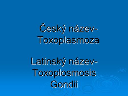Český název-Toxoplasmoza
