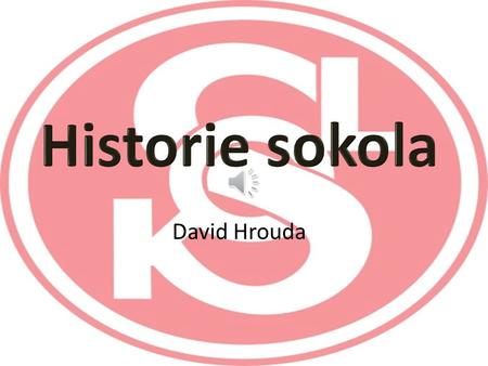 Historie sokola David Hrouda.
