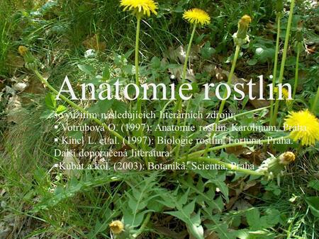 Anatomie rostlin s využitím následujících literárních zdrojů: