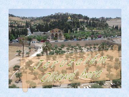 Olivová hora je protáhlý kopcovitý hřeben ve východním Jeruzalémě se třemi vrcholky, táhne se od severu k jihu. Název „Olivová“ (v některých starších.