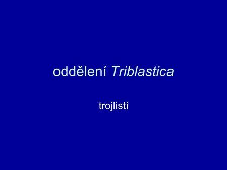 Oddělení Triblastica trojlistí.