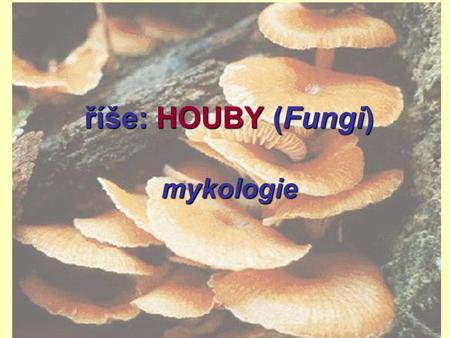 říše: HOUBY (Fungi) mykologie