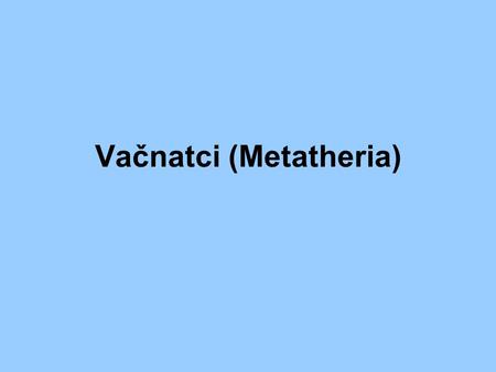 Vačnatci (Metatheria)
