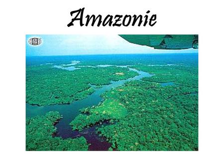 Amazonie.