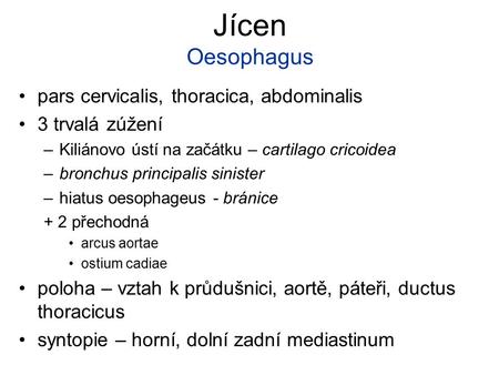 Jícen Oesophagus pars cervicalis, thoracica, abdominalis