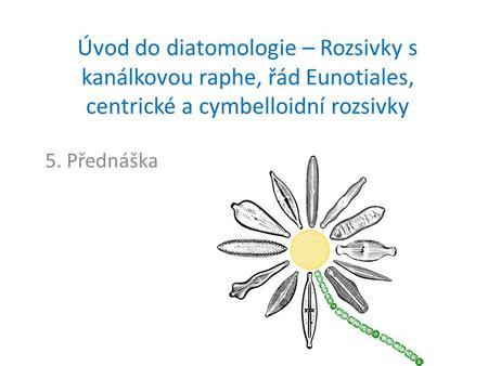 Úvod do diatomologie – Rozsivky s kanálkovou raphe, řád Eunotiales, centrické a cymbelloidní rozsivky 5. Přednáška.