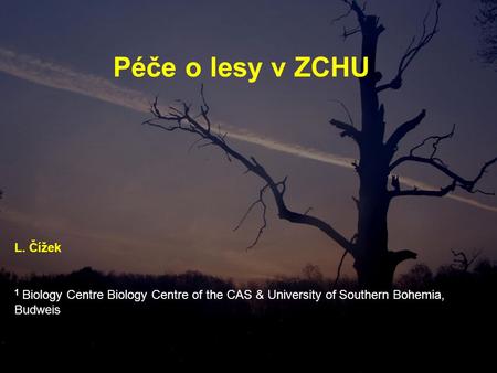 Péče o lesy v ZCHU 1 Biology Centre Biology Centre of the CAS & University of Southern Bohemia, Budweis L. Čížek.