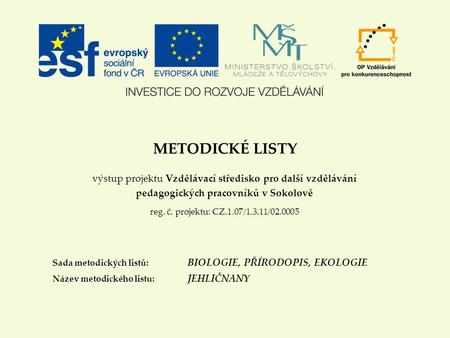 METODICKÉ LISTY výstup projektu Vzdělávací středisko pro další vzdělávání pedagogických pracovníků v Sokolově reg. č. projektu: CZ.1.07/1.3.11/02.0005.