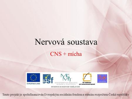 Nervová soustava CNS + mícha