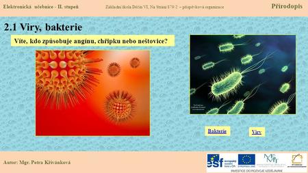 2.1 Viry, bakterie Víte, kdo způsobuje angínu, chřipku nebo neštovice?