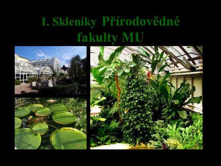 I. Skleníky Přírodovědné fakulty MU