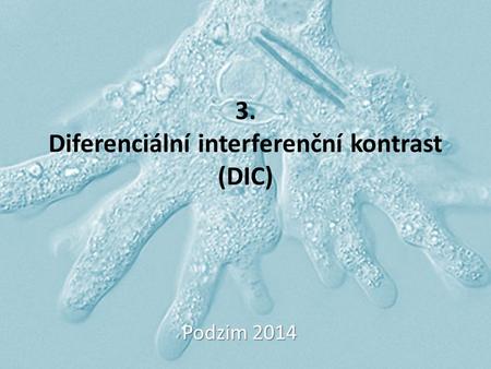 3. Diferenciální interferenční kontrast (DIC)