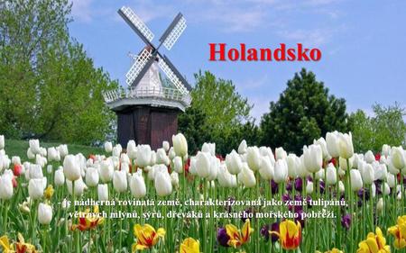 Holandsko - je nádherná rovinatá země, charakterizovaná jako země tulipánů, větrných mlýnů, sýrů, dřeváků a krásného mořského pobřeží.