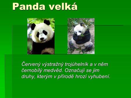Panda velká Červený výstražný trojúhelník a v něm černobílý medvěd. Označují se jim druhy, kterým v přírodě hrozí vyhubení.