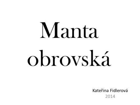 Manta obrovská Kateřina Fidlerová 2014.
