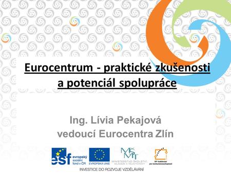Eurocentrum - praktické zkušenosti a potenciál spolupráce