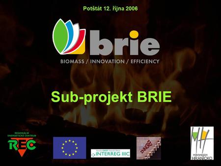 Sub-projekt BRIE Potštát 12. října 2006. Praktické využití obnovitelných zdrojů energie v rodinných domech Ing. Libor Lenža Regionální energetické centrum,