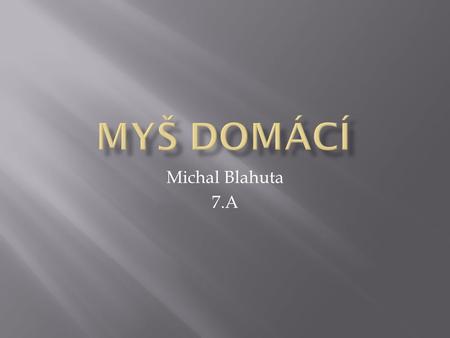 Myš domácí Michal Blahuta 7.A.