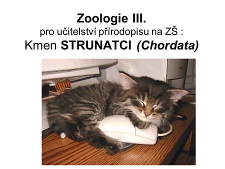 Základní literatura k „zoologii strunatců“ pro učitele přírodopisu ZŠ: