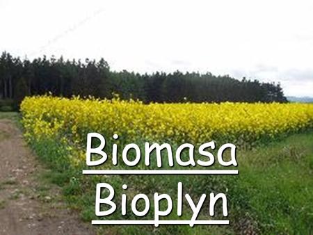 Biomasa Bioplyn.