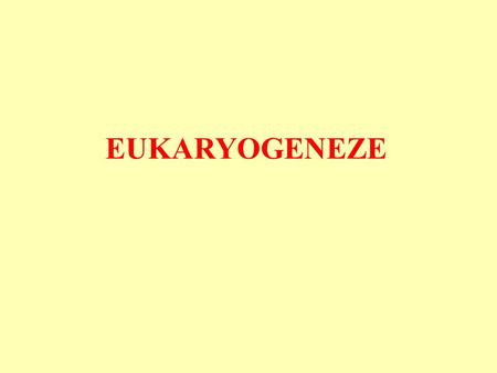 Eukaryogeneze.