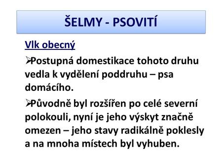 ŠELMY - PSOVITÍ Vlk obecný