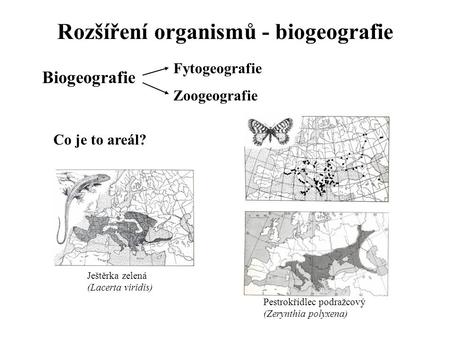 Rozšíření organismů - biogeografie