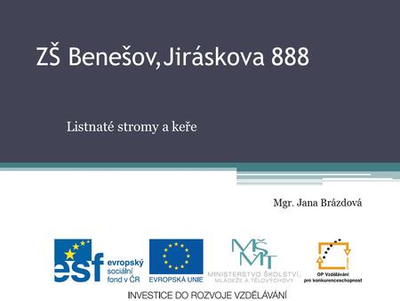 ZŠ Benešov,Jiráskova 888 Listnaté stromy a keře Mgr. Jana Brázdová.