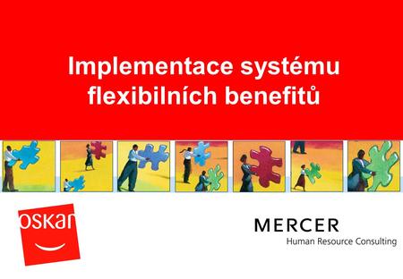 Implementace systému flexibilních benefitů
