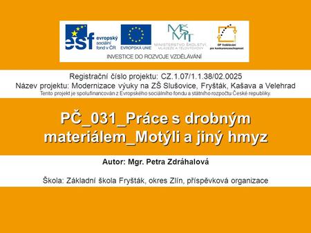 PČ_031_Práce s drobným materiálem_Motýli a jiný hmyz Autor: Mgr. Petra Zdráhalová Škola: Základní škola Fryšták, okres Zlín, příspěvková organizace Registrační.