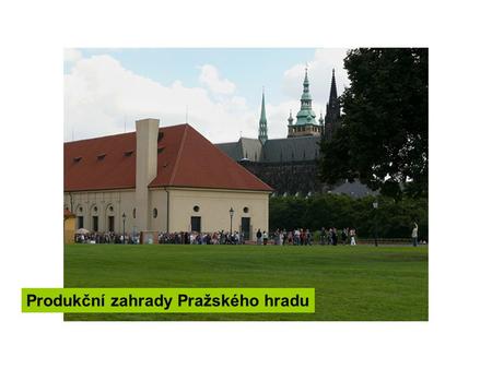 Produkční zahrady Pražského hradu. Zahrady se nacházejí za Jízdárnou a jejich zeleninové záhony, ovocné stromy, květiny i skleníky neustále střeží vojáci.