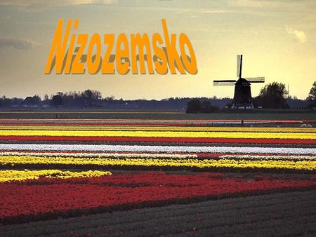 Oficiální název: Nizozemské království Rozloha: km² Počet obyvatel:16,491,461 Hl. m. Amsterdam Úřední jazyk: nizozemština, fríština Státní.