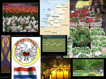 ÚVOD Nizozemsko nebo-li Holandsko, je jednou ze tří zemí Nizozemského království ležící v severozápadní Evropě. Je jednou z nejhustěji osídlených zemí.