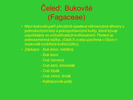 Čeleď: Bukovité (Fagaceae)