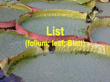 List (folium; leaf; Blatt)