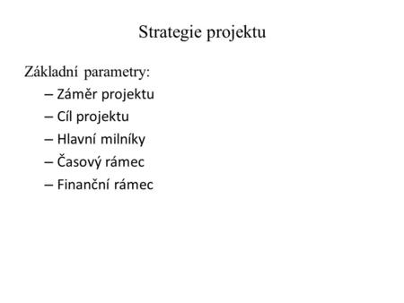Strategie projektu Základní parametry: Záměr projektu Cíl projektu