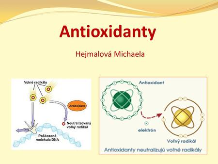 Antioxidanty Hejmalová Michaela.