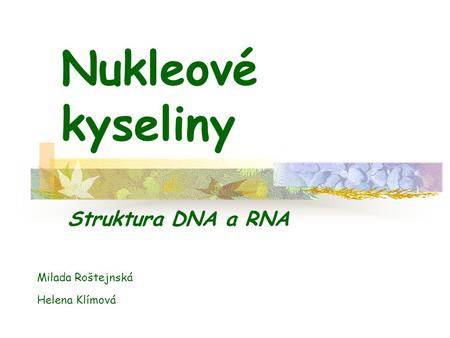Nukleové kyseliny Struktura DNA a RNA Milada Roštejnská Helena Klímová