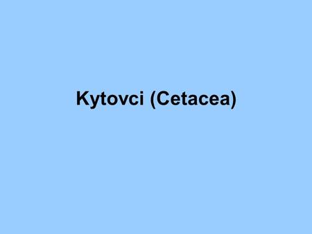 Kytovci (Cetacea).